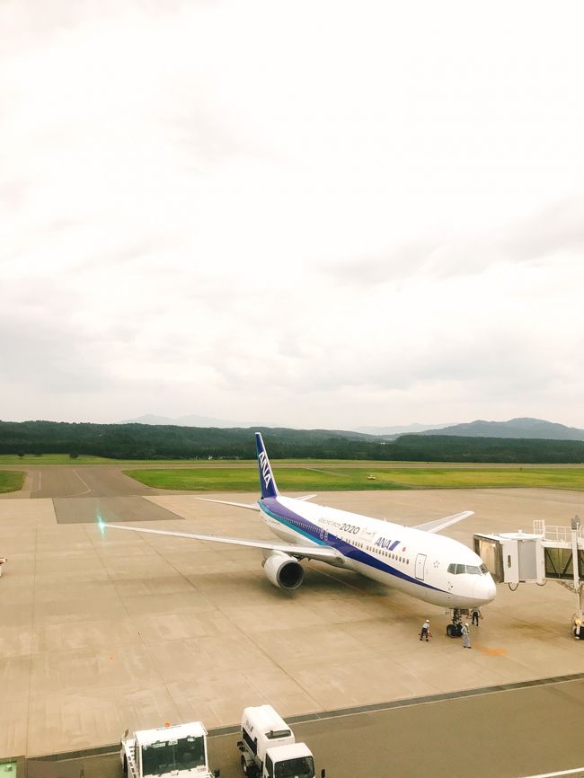 家内と娘が飛行機で飛ぶ日帰り旅行を計画しました。<br /><br />目にとまったのは、愛称が　”おいしい庄内空港”　でした。山形県です。<br /><br />山形県は、全市町村で温泉が湧出する温泉王国でも知られていますが<br /><br />日帰り旅行では無理です。しかし、別名果樹王国、山の幸、里の幸<br /><br />海の幸にも恵まれた食彩王国で全てを満足させてくれる桃源郷です。<br /><br />今回の日帰り旅行では時間が足りませんが、hama(ブログの主人）の<br /><br />次回旅行の下調べと言う事で母娘が羽田を朝一番で出発致しました。<br /><br />＊おいしい庄内空港：愛称のおいしいとは、食べ物がおいしいことは<br />　さることながらそこに住まわれる人々の心の優しさ風景の素晴らしさ<br />　などを総称しているそうです。