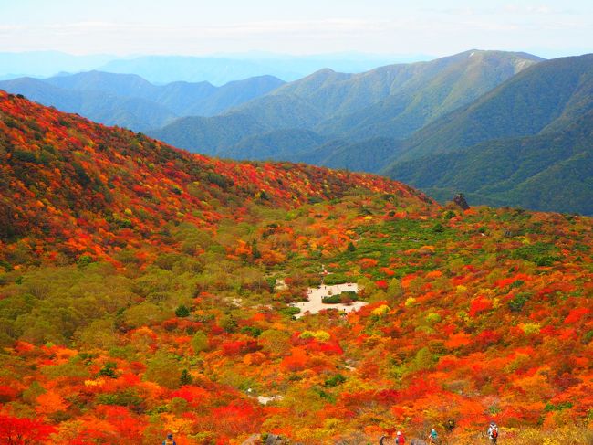 やっと晴れたので、ここぞとばかりに茶臼岳登山に行ってきました。登山というより散歩に近いですが往復ともロープーウェーを使い、ゆっくりと姥ヶ平の紅葉を楽しんできました。<br />今週末は天気らしいので駐車場の混雑が予想されます。<br />今回はOlympus PENのArt Filterを使って紅葉を撮ってみました。<br /><br />ハイキングマップはダウンロードできます。<br />http://www.nasukogen.org/trekking/<br />