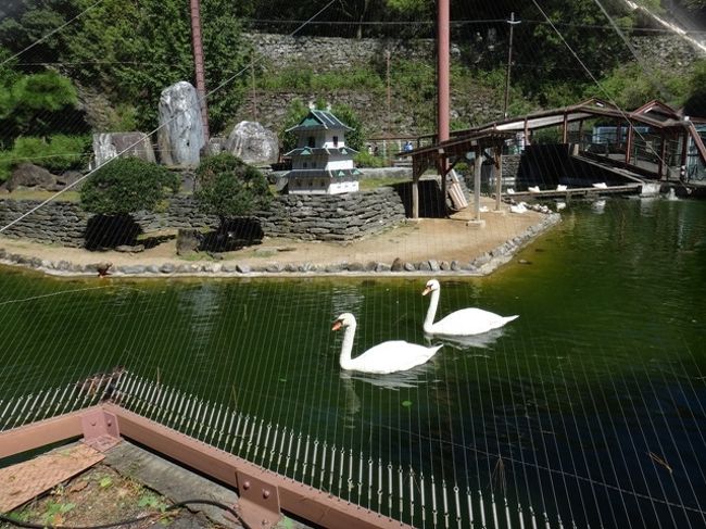 犬鳴山12年に一度の秘仏御開帳に合わせて和歌山へ<br />ところが、台風が近づいてきて…<br />たどり着けるか心配しながらの旅でした