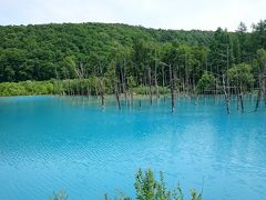 今年の北海道は暑いべや！！ 2017夏 vol.5 美瑛の青い池と素敵なランチ
