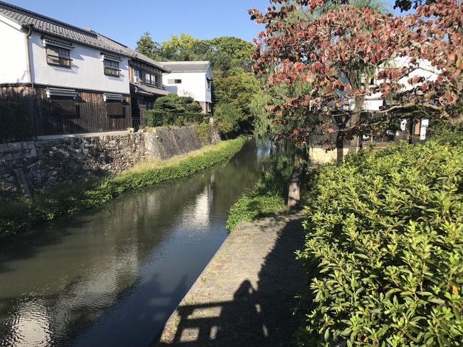 年始の「高山で内臓を食らう」に引き続き<br />内臓を食らうシリーズ？第2弾です<br /><br />「丸明」は内臓が美味しいよと教えてくれた友人<br />友人が京都旅行へ行く際、高速が事故渋滞<br />渋滞回避で下道へ回避したさいに、滋賀→近江牛？<br />で発見したお店のようです<br /><br />ここは師匠（友人には以前から師匠と呼ばれてまして(^^ゞ）にも教えないと<br />ということで、行ってきました<br /><br />でも滋賀県って･･･彦根城、比叡山、琵琶湖くらいしか<br />思いつきませんでした、関係各位ごめんんさい　m(_ _)m<br />侮っていました、滋賀県<br />見どころ満載でした<br /><br />紅葉の時期にも是非訪れたいと思います<br /><br />