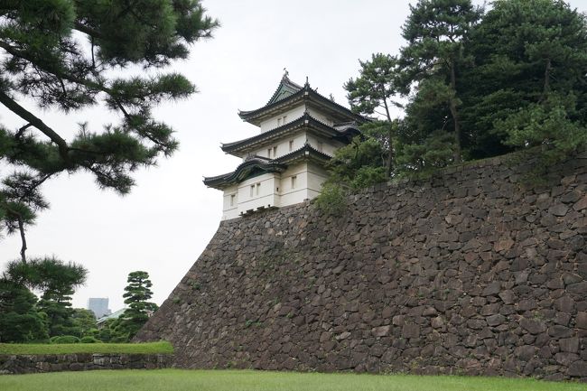 皇居一般参観が昨年の6月より土曜日も実施、それも事前申請なくても可能ということで行ってきました。宮内庁の参観の中でも京都(京都御所、仙洞御所、桂離宮、修学院離宮)には四季折々、それぞれ5~8回ぐらいづつは事前申請(抽選)のうえ行っていたのですが、実は皇居参観は初めてです。<br />参観は10時からと13時30分から1日2回あるのですが、午後から上野へ行く為10時としました。8時半から受付開始ということで8時半には、東京駅に到着するよう自宅(静岡県)を出ました。