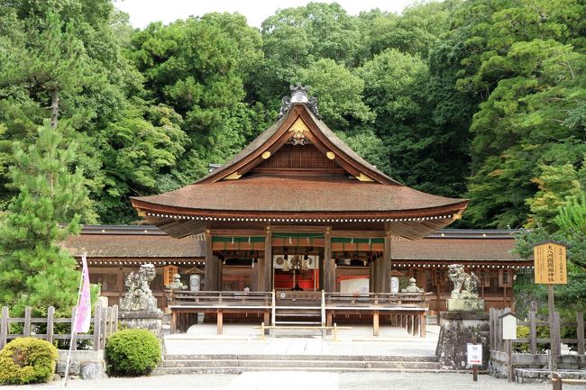 京都 丹波国一之宮 「出雲大神宮」参拝<br /><br />出雲大神宮<br />御祭神は大国主命とその后神、三穂津姫命です。<br />式内社、丹波国一之宮で国幣中社です。<br />8世紀初頭に創建された由緒ある神社です。<br />縁結びの神として多くの人に信仰されています。