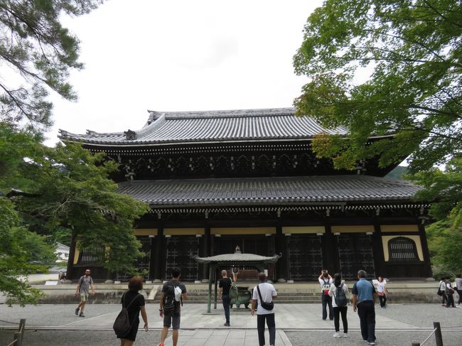 南禅寺の三門に上がった素晴らしい写真は今、別の旅行記にしたので、南禅寺一帯の残る写真をまとめたい。国宝の方丈は庭園が小堀遠州の作と伝えられ、流石だし、南禅院の庭園も夢想疎石の作と伝えられ、美しかった。<br /><br />一枚目は法堂の写真。<br /><br />南禅寺の方丈庭園は入場料が５００円。庭園は立派だし、建物内もとてもいいのだが、惜しいことに重要文化財の狩野探幽の障壁画は複製画なのに、撮影禁止！意味不明！しかも、障子とガラスで中がよく見えない。酷いのは、腰をかがめて、不自然な姿勢でないと中がまったく見えない！ガラスが低い位置に入れてあり、子供に合わせたのだろうが、これでは、私などは腰を折り曲げて中腰で眺めていると、すぐに腰が痛くなった！これには怒りがこみ上げた！あれだけの絵画を短時間では鑑賞はできない！この点だけは即座に改善してほしい！他の点では素晴らしい南禅寺だったので、この点だけは残念だ。<br /><br />庭園などの立派さは５つ星だが、複製画で写真もとるなと言われる部分については１つ星だろう！どちらの表示をとるか、悩むところだ！<br /><br />