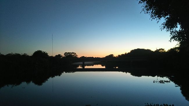 今回は7日目です。<br />写真コメント:朝食後、夜明けが綺麗だったので撮影。こんなにきれいな朝焼け初めて見ました。<br /><br /><br />★7日目★<br /><br />6:30 ホテル出発<br /><br />(青空トイレ)<br /><br />8:30頃 ポルトジョフレ着<br /><br />8:50頃 ジャガーサファリ(午前の部)<br /><br />一度ポルトジョフレへ戻り、ランチ<br /><br />? ジャガーサファリ(午後の部)<br /><br />18:20頃 ホテル着<br /><br />19:30 夕食<br /><br />20:30 ナイトツアー<br /><br />~就寝~<br /><br /><br />