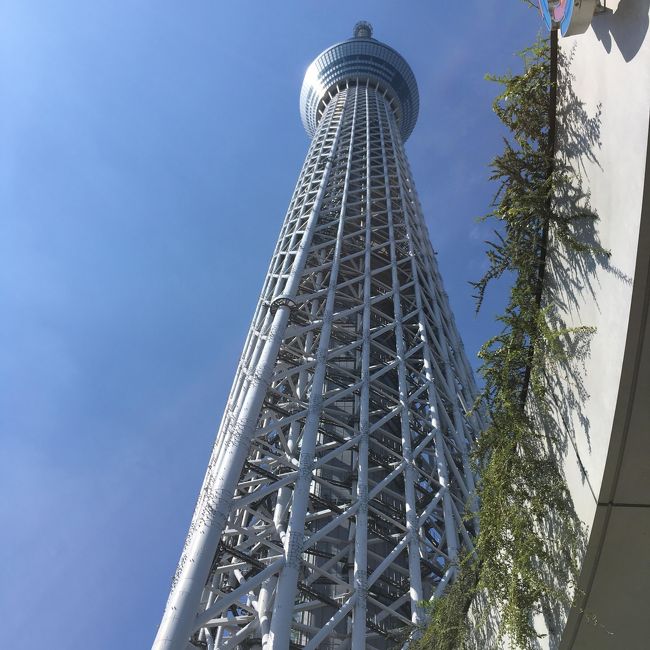 はとバスで東京見物 東京スカイツリー 浅草 隅田川下り 昼食はホテルで食べ放題 浅草 東京 の旅行記 ブログ By Fuhchibahさん フォートラベル