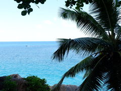 いくぜ！セーシェル！！インド洋の真珠 美しいビーチをもとめて その２  