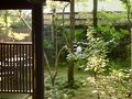 湯布院・由布院温泉の旅行記