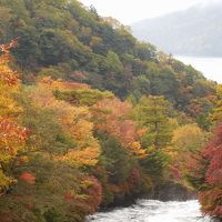 奥日光小西ホテルに泊まる（予想外の紅葉に大満足）