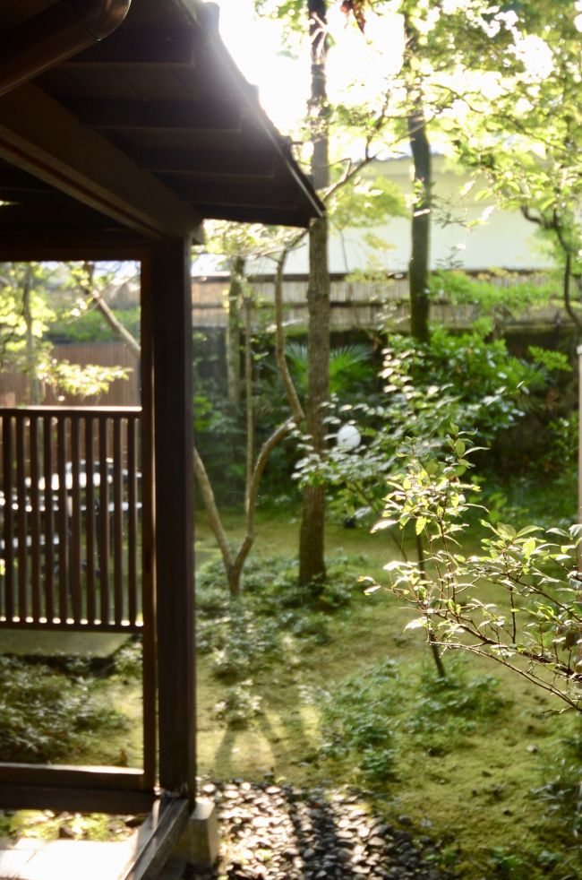 名古屋から福岡県北九州市に引っ越してきて早7ヶ月。<br />日々の生活はかなり落ち着いてきたものの、5月の長崎旅行以来、旅行らしいものはぜんぜんしていません。<br /><br />しかも、最近は体調のこともあり、「仕事ー病院ー整骨院ー家」という、なんとも地味な生活を送っていました。<br />その割には仕事が忙しくて疲労がピークに！<br /><br />そんな時、JR九州のリゾートトレイン「ゆふいんの森」が、期間限定で小倉駅経由で運行していると耳にしました。<br /><br />だったら乗ってみたい～！由布院の温泉でゆったりしたい～！<br /><br />じゃあ、お宿は？<br />由布院御三家の一つ「玉の湯」さんが、どーにか空いていた！<br /><br />という訳で1泊2日で日頃の疲れを癒す、由布院ゆったり旅です。