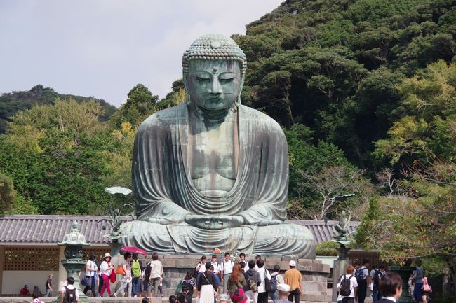 アッという間に最終日になりました。<br /><br />残り4景で、合計12景巡りが終わります。<br /><br />本日は、9.江ノ島(江戸時代から栄えた島を散策)、10.湘南の海を眺めながら走る江ノ電に乗車!、11.高徳院・鎌倉大仏参拝、12.鎌倉(鶴岡八幡宮参拝やおしゃれな街並みが続く小町通りを各自散策。<br /><br />そして自由昼食の後、横浜横須賀道路・首都高速を通って羽田空港へと。<br /><br />羽田空港発15:45発…?…高松空港17:00定刻に到着なり~<br /><br />