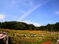 里山ガーデン秋の大花壇公開へ行ってみた！