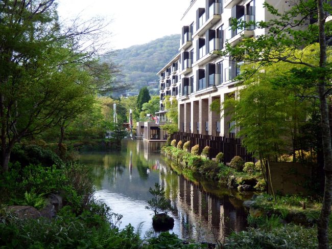 この日も早朝に目覚め、お部屋の温泉で朝風呂を楽しみます。<br /><br />朝風呂の後は、霧も晴れて好天になった朝の仙石原を散歩しようと、まだ寝ている妻を部屋に残して、一人付近を歩きます。<br />