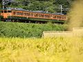 渋川の旅行記