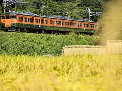 黄金色に輝く吾妻線沿線に広がる収穫の秋の風景を探しに訪れてみた