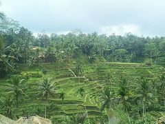 母と娘のウブド女子旅・シドゥメン村も行ったよ♪3日目その3（ネカ美術館～テガララン編）