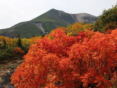 乗鞍岳の紅葉