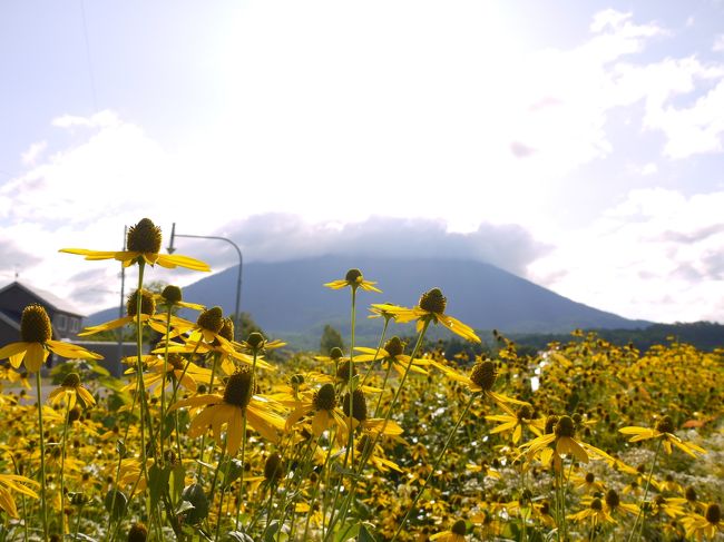 ようやく北海道に上陸しました～<br />旅行記7冊目にしてまだ旅程的には4日目になったところ。<br />鈍行旅らしく鈍行スピードの内容ですが、、、ｗ<br />さてここから本格的に北海道内の鉄道旅へ♪<br /><br />そもそも北海道に行きたかったのが始まりのこの旅行。<br />やりたいことはいっぱいあるけど、今回は・・・<br />・夕張支線にのりたい。<br />・夕張の町を歩きたい。<br />・てか夕張メロンが食べたい。コレ絶対。<br />・でも札沼線は乗らなあかん。<br />・札沼線の終着駅、新十津川駅は絶対訪問したい。（この駅大好き）<br />・去年通れなかった根室本線の東鹿越～新得間の代行バスに乗りたい。<br />・ほんまは幾寅駅（災害影響で運休中）を訪問したい。<br />・夏の花咲線に乗りたい。<br />・・・・・etc<br /><br />うわぁどうしよう。書き出したらキリがないｗ<br />ほんまはもっともっと色々あるけど、どうしても今のタイミングでやっておきたかったこれだけに、、、これでもかなり絞ったんよね(;´Д｀)<br /><br />しかし、ご安心ください。<br />これら全てを叶えるルート、考えました。(´ー｀)<br />むしろこれを軸に逆算して本州ルートも決まったようなもんです。<br /><br />ーーーーーーーーーーーーーーーーーーーー<br />※今回も沿線風景と駅の写真が訳8割です。<br />※やたら枚数多いので飛ばし読みでどうぞ。<br />