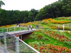 秋色の丘　コスモスゆれる里山ガーデン