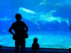 【ルネッサンスリゾート沖縄】ＡＮＡマイルで行く1歳9ヶ月幼児連れ家族旅行/2日目