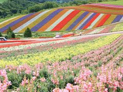 夏のカラフル北海道 (４)花と緑に溢れた美瑛と青さが増した青い池