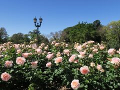 ブエノスアイレスのバラ園 El Rosedal de Palermo へ