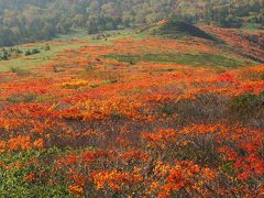 三ツ石山～八幡平紅葉巡り旅4泊5日　その3三ツ石山馬蹄縦走（周回）コース編