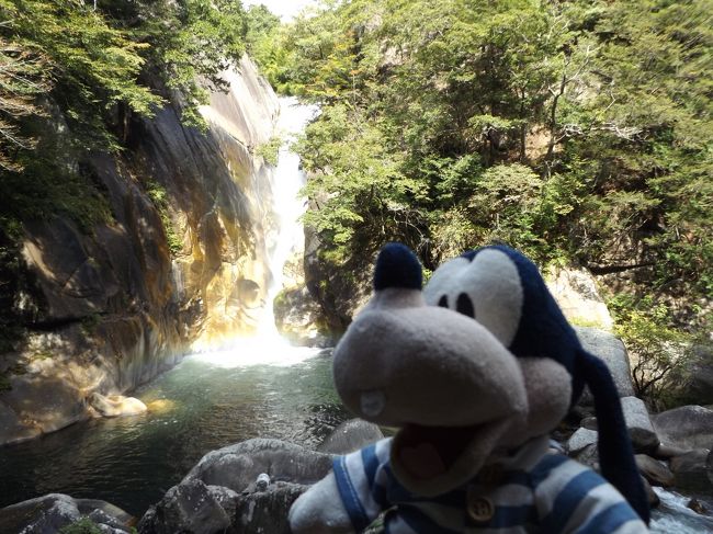 グーちゃんだよ。<br />今回の甲府の旅というか・・・。<br />そもそも岩殿山のハイクの旅だったのに・・・。<br />入山禁止で予定が大きく変更！！<br />急遽、甲府の徘徊と昇仙峡の徘徊に切り替えたけど<br />とっても楽しかったよ。<br />旅は筋書きのないドラマでもあるの！！