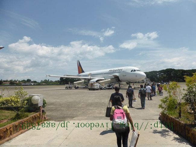 ＃342の続きです<br /><br />フィリピン8日目　ネグロス島からマニラへ移動します<br />シブラン空港　2回目の利用です　でかい新しい空港は　ボーディング<br />ブリッジで　飛行機が真直で見れないけど　ローカルな空港は<br />飛行機に触れるんじゃないかって距離で見れるので　良いっす<br />ただ　暑いっすけどね・・・・（笑<br /><br />マニラのホテルは　初めての利用　『Bayview Designers Suites：<br />ベイビュー・デザイナー・スイート』　名前は良いんですが<br />残念　ベッドに生活臭がします　こんなホテルは嫌だぁ・・・・<br />2回目はないっす　お勧めできません・・・・・<br />