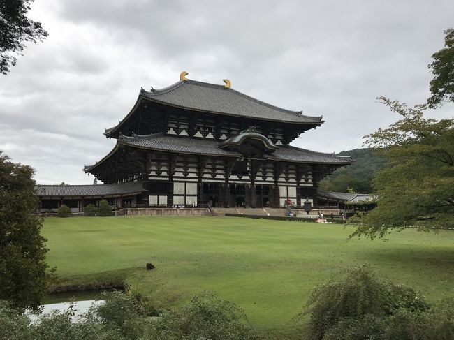 ボンビー車中泊の旅 奈良を観る Vol 1 奈良市 奈良県 の旅行記 ブログ By アリパパさん フォートラベル