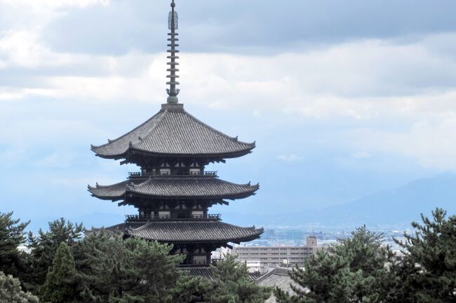 三日目は、奈良観光定番の東大寺・春日大社・興福寺を回る半日観光です。<br />これまで関西という括りで考えていた京都と奈良ですが、いろんな点で違いがあります。<br />奈良の著名な寺院は飛鳥・奈良時代に作られた大寺院が多く、宗派も法相宗・華厳宗・律宗など互いに教義を学び合う学派の役割が強いのに対し、京都の寺は、ほとんどが平安遷都以降に作られ、真言宗・天台宗・浄土宗・臨済宗など比較的新しい宗派がほとんど。<br />そのため、古い奈良の寺院には庭園はないけど、京都の浄土宗や禅宗の寺院には庭園がある、などなど・・・<br />飛鳥・奈良時代は遣隋使・遣唐使として多くの留学生が往来し、大陸の文化を広く持ち帰りましたが、894年に菅原道真の建議により遣唐使が停止された以降は、宮廷文化など日本独自の文化が生まれ、京の都を中心に全国に広がったことによるものと思われます。<br />今回の旅行で、よく分かりました。<br />因みに、観光客数は、京都が約87百万人、奈良が約1５百万人・・・華やかな京都と比べると、地味で渋めの奈良ですが、一度その魅力を知ってしまうと、次々に行きたい場所が増えてくる不思議な街でもあります。<br />写真は、奈良県庁の屋上から見た古都の街並みと興福寺の五重塔。