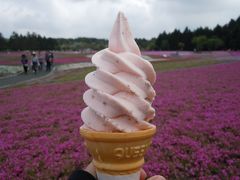 薔薇ソフト、桜ソフト、、　５月誕生日ツアーは富士芝桜まつり♪