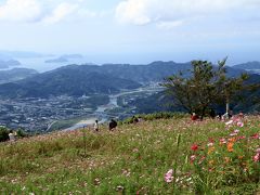 鷲ヶ峰コスモスパークのコスモスから生石高原のすすきを見てから、和泉リサイクル環境公園のコスモス。