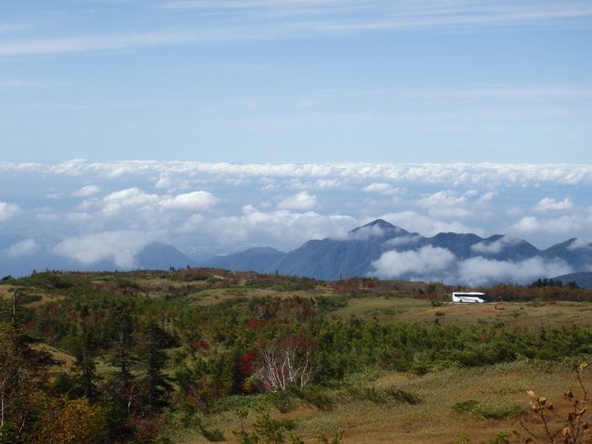 前回、立山に行ったのはいつだったっけ？<br />と、旅行記を見返すと6年前の2011年。<br />間空いたなぁ、そろそろ行ってこようか。<br /><br />紅葉と言うよりも初雪、初冠雪の時期なので、ホントは装備も冬を想定しなくてはならないのですが、連休に入って気温が夏に逆戻り。<br />少し標高を下げた、弥陀ヶ原だったら、まだ紅葉も見れそうだし、木道が整備されているので、コドモも安心して歩けそう。<br />高原バスを途中下車して、弥陀ヶ原高原を散策してきました。