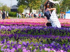 第３４回全国都市緑化はちおうじフェア　１００周年おめでとう～♪