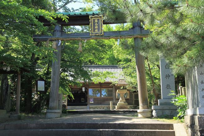 藤白神社<br />熊野古道の藤白坂の入り口近くに鎮座しています。<br />中大兄皇子（後の天智天皇）の母親である斉明天皇が牟婁の湯へ行幸の折創建されたという古社です。<br /><br />境内社に有間皇子神社があります。<br />有間皇子　<br />謀反の罪で絞首刑となった悲劇の皇子を祀っています。<br />大化の改新（乙巳の変）により皇極天皇が実弟の孝徳天皇に譲位したため、<br />それまで皇位継承とは無縁だった孝徳天皇の息子の有間皇子。<br />皇位継承筆頭であった中大兄皇子により、藤白坂で粛清されたそうです。<br />