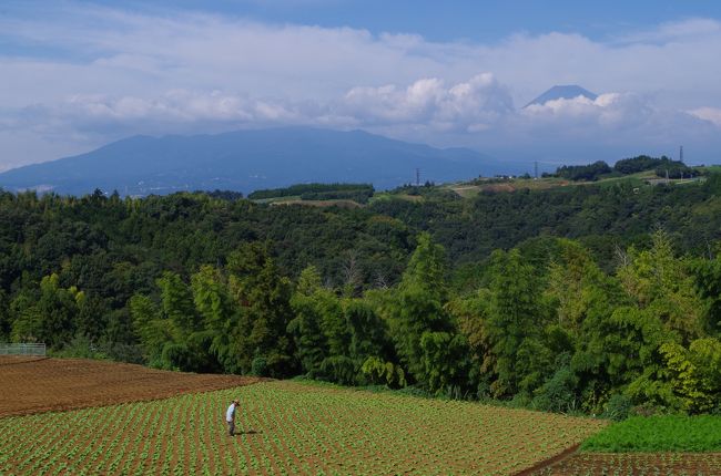 旧東海道を歩いてみた (その8 元箱根 - 三島 編)