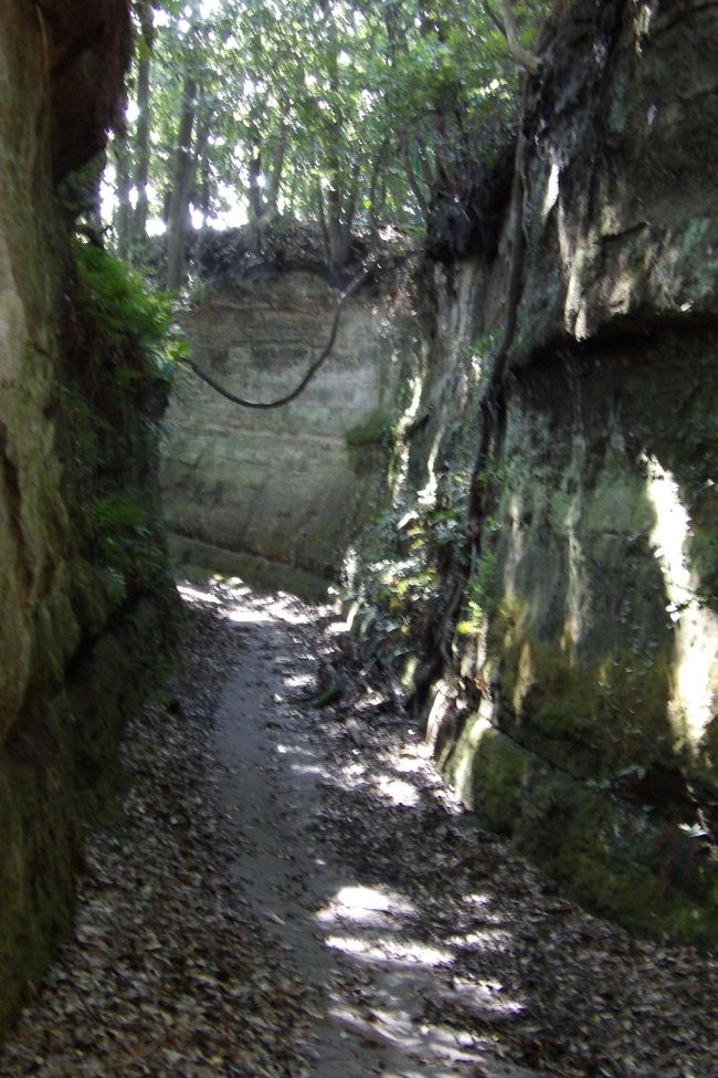 　鎌倉街道の常楽寺辺りから六国見山に向かう南側の旧街道にあるのが高野の切通である。高野台のロータリーで折り返すバス通の北側に並走した旧街道で、大船と高野の境界にもなっている。<br />　高野の切通にはやぐらは見当たらず、鎌倉街道の谷戸の前橋から南東に六国見山に向かう旧街道にある大船切通にはやぐらが付随しているのとは対照的である。鎌倉ではやぐらが付随しない切通はここ高野の切通と「二階堂」切通くらいである。あるいは、亀ヶ谷坂切通もやぐらが付随しないようにも思われようが、中世の切通はやぐらが多い谷戸を通っていたのでこれには当たらない。<br />　高野の切通は深く掘削された切通で、どうしてこんなところに切通が必要なのかと思われる場所にある。おそらくは、鎌倉中の切通などとは違い時代が下がって江戸時代頃の掘削ではあるまいか？それならばやぐらがないことも理由が付く。<br />（表紙写真は高野の切通）<br />