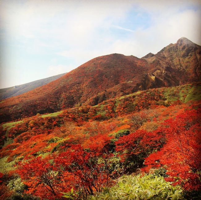 今日の三本槍岳は、山頂こそガスに覆われて、景色がイマイチだったけれど、紅葉はピークを迎えていました。