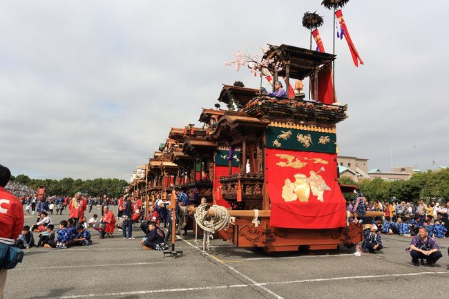 ５年に１度の山車が３１台集まる<br />山車祭りが無事行われました<br />今回も日の出車　<br />彦洲に混ざって参加してきました<br /><br />天気予報で<br />朝方雨予報だったので<br />上がるのを待っていましたが<br />７時くらいには傘が要らない程度に<br />成ってくれましたが風邪気味<br />体調は絶不調での参加だったので<br />結構辛かったですね<br /><br />今回は先月販売になった<br />ｉｎｓｔａ ３６０ ＯＮＥを導入し<br />あちこちで撮影しましたが<br />未だにソフト面が使いこなせていなくて<br />３６０ＶＲが出力出来ていません<br />カメラだけでなく<br />コントロール用に食いかけのリンゴを買ったりと<br />余分な諭吉さんが犠牲に成ったのに・・・