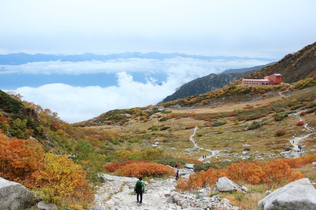 この時期の６連休、紅葉を見に行きたいけどまだどこも早い…。<br />いや！山だ！標高の高い山のてっぺんなら紅葉してるはず！<br />という事で長野の山という山に毎日登りまくってきました。<br />といっても途中までロープウェイとかバスで登るお手軽トレッキングですが…。<br /><br />２日目は千畳敷カール。<br />先週に見た天気予報では晴れだったはずなのに、数日前から見ると曇りのち雨の悪天候予報に変化。<br />観光地だし傘持って行けば何とかなるだろうと思って、軽い気持ちで登山に挑んだバカがここに一人。