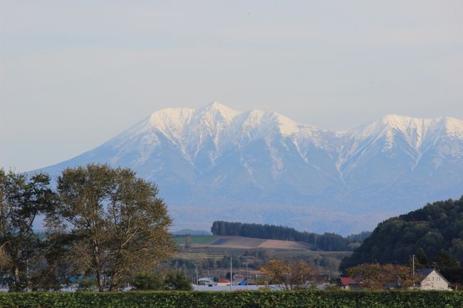 札幌から友人が車で突然来ました。<br />美瑛方面の絶景写真を撮りたいと。<br />まだ紅葉の最高の時期には早いので、旭岳、十勝岳、オプタケシケの写真を撮りました。