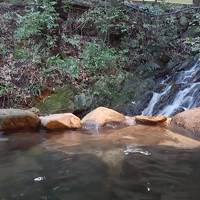 １番バス河内線で行く鳥栖の隠れ湯