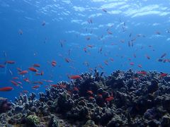 海に癒される