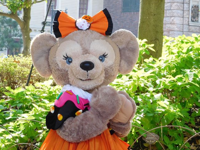 10月10日。<br /><br />今はハッピーマンデー法とやらで日程は変動しますが、以前は体育の日として固定されていた日。<br />なんでも統計上、一年で一番晴れになる確率が高いのだとか。<br /><br />そんな今では普通の日になってしまったこの日、ディズニーランドで開園以来続いていたアトラクション“スタージェット”がクローズすることに。<br />当日はスポンサーのJALが主催する『ラストデイ・パーティーキャンペーン』があり、開園前に最終日のスタージェットに搭乗&キャラたちとふれ合えるファンパーティーに参加など、当選したら貴重な体験が出来るかも(☆▽☆)と仕事のお休みを取って応募しました。<br /><br />ところがというか、案の定というか、待てど暮らせど当選通知は来ない・・・<br />「どうせ当選しても開園前の7時に集合なんて私にはムリ!」と負け犬の遠吠え(笑)。<br /><br />そんなこんなで迎えた2日目です。<br /><br />それでは、ソファで寝落ちしたはずなのに、気づいたらベッドだった【年パス日記】スタートです!