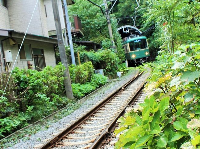 それは、まだ暑くなる前の頃……<br />「江の島でしらすが食べたいなぁ」とふと漏らした旦那様の一言に、もちろん即座に反応してしまった私。<br />だって、お出かけ大好きだもの♪<br />現地で美味しいものいっぱい食べたいんだもの♪<br /><br />もちろん、旅の目的は江の島だけれど、久しぶりに鎌倉にも行っちゃう？<br />江の電に揺られて、、、電車デート☆絶対に楽しいよねぇ。<br /><br />江の島付近でホテルを探していて、とても気になった「BREATH HOTEL」今回は、このホテルの素晴らしさにめちゃめちゃ感動したわー♪<br />高級ホテルが故に素晴らしいホスピタリティーを感じるホテルはいっぱいあるけれど、、、<br />リーズナブルな価格で泊まれて、凄いホスピタリティーを一生懸命実現してくれようとする、、、そんなホテルとスタッフの姿に絶賛の嵐を送りたいと、、、（笑）<br /><br />お天気にとても恵まれた2日間。<br />まずは、鎌倉編からスタートです♪<br /><br /><br />サザンビーチカフェ　　http://www.southernbeachcafe.tpd-jo.co.jp/<br />BREATH HOTEL　　http://www.breath-hotel.com/<br />成就院　　http://www.jojuin.com/<br />御霊神社　　http://www.kyoto-jinjacho.or.jp/shrine/02/004/<br />高徳院　　http://www.kotoku-in.jp/<br />鶴岡八幡宮　　https://www.hachimangu.or.jp/<br />わっふる21　　https://www.city.kamakura.kanagawa.jp/shoukou/omise2006/data/0032.html