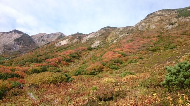 大好きな紅葉の時期となり今年もいくつの山々に行けるか楽しみな中、最近毎年訪問しているお馴染みの白山へ今年も行ってきました。<br /><br />その中でも、ずっと熱望してながらなかなか行けなかった紅葉が綺麗と評判のお花松原へ、今年やっと訪問することができ、また一つ達成感が味わえました。<br /><br />室堂から大汝峰と剣ヶ峰の間に向かい谷底？目掛けて斜面に広がる紅葉はとても綺麗でした。<br />噂通り、覚悟はしていてもあそこまで降りていくの？と一瞬思ってしまう程下りますが、その下りとそこをまた登り返すとしても訪問する価値がありました。<br /><br />到着するとこのお花松原の存在を知ったきっかけになったブログの方が、同じ日に訪問されていました。<br />既読スルーしてたので、お声掛けはできませんでしたが、自分だけに分かるちょっと嬉しい瞬間でした。<br /><br />下山日は、別山方面から市ノ瀬に降りる予定をしていましたが、生憎の天候でガスが掛かり視界が悪く雨も降り出したので、別当出合へ降りました。<br /><br />また、いつか別山方面からの下山を楽しみに訪問したいです。