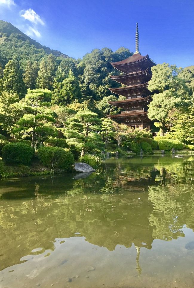 17バースデー旅行 名探偵コナン幕末維新やまぐちミステリーツアー 前編 萩 山口県 の旅行記 ブログ By 梨田ヒカリ 元北の旅人 さん フォートラベル 17バースデー旅行 名探偵コナン幕末維新やまぐちミステリーツアー 前編 萩 山口県 の旅行記 ブログ By 梨田ヒカリ 元北の旅人 さん フォートラベル