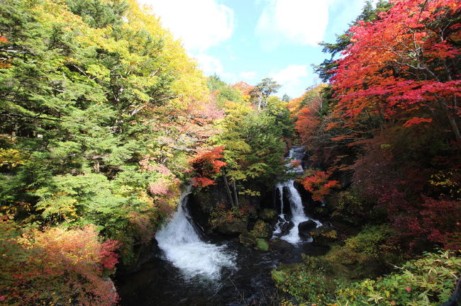 龍頭の滝の紅葉が、見頃を迎えているとの新聞記事を見て、日光に日帰りドライブに行ってきました。<br /><br />朝５時過ぎに自宅をスタートし、首都高、東北道、いろは坂を経て、龍頭の滝には８時に到着です。<br /><br />龍頭の滝の紅葉は、丁度見頃を迎えていました。<br /><br />龍頭の瀧の後は、半月山から中禅寺湖を眺め、戦場ヶ原を経由して、湯滝へ向かい、湯滝から湯の湖へ登り、湯の湖を一周しました。<br /><br />帰りは、金精峠から沼田経由で関越道を利用して帰宅しました。<br /><br />