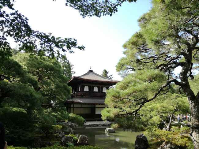 10月8日（日）～10日（火）の2泊3日で京都と奈良に行ってきました。<br />京都での観光は初日と最終日で銀閣寺と下鴨神社、嵐山の竹林の小径を巡りました。期間中は天候にも恵まれ快適に旧跡をめぐることができました。<br />宿泊は京都駅前にあるイビススタイルズ京都ステーションホテル。<br />日中は観光に出かけため交通の利便性を重視して選びました。部屋はアコーホテルズのサイトからスタンダードツインを2名2泊3日41,600円で予約。もちろんイビスなので簡単な朝食がついています。ホテルはサービスを含め十分に快適でした。<br />なお奈良観光は別に旅行記を作成しましたのでそちらをご参照ください。<br />（京都から奈良に日帰り旅！薬師寺･春日大社･東大寺･興福寺2017年10月）https://ssl.4travel.jp/tcs/t/editalbum/edit/11291393/<br /><br />